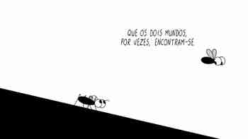 A Mosca 143 - 08 Out - Futebol e Jus...