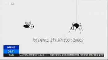 A Mosca - 9 anos, 4 meses e 2 dias...