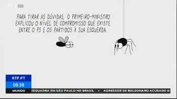 A Mosca - Amizade ou casamento...