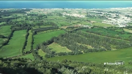 Imagem de Volta ao Mundo