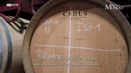 Imagem de Volta ao Mundo