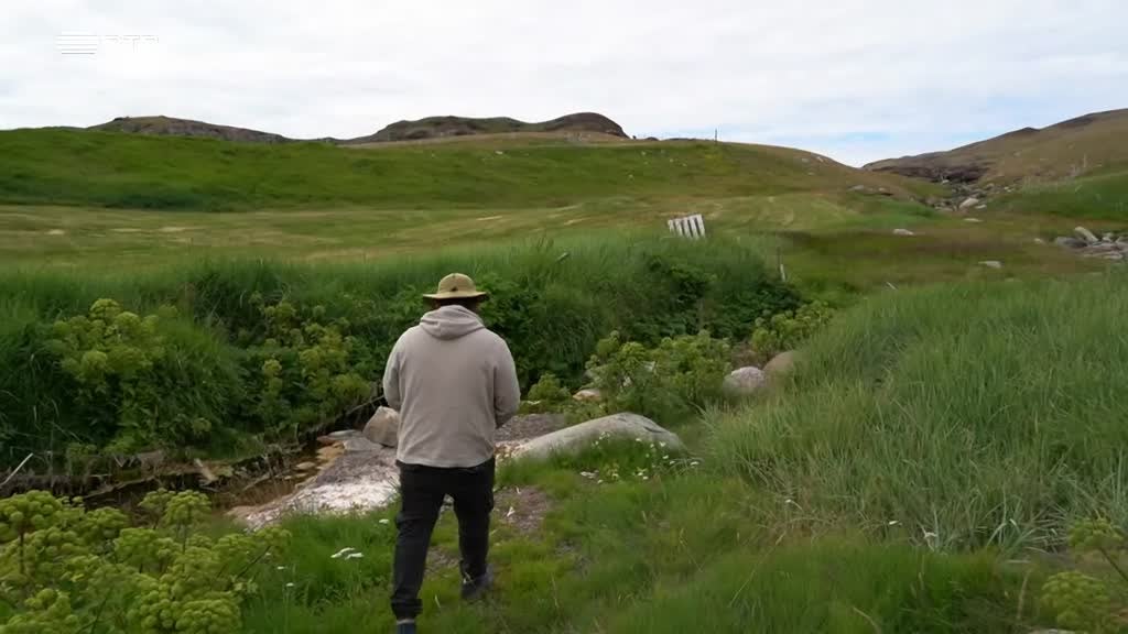 Imagem de Gronelândia: Agricultura ou Exploraçã