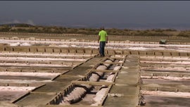 Imagem de Por Amor  Tradio