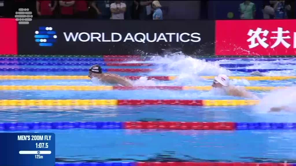 Imagem de Campeonatos do Mundo de Desportos Aquát - Natação Pura: Meias-Finais e Finais