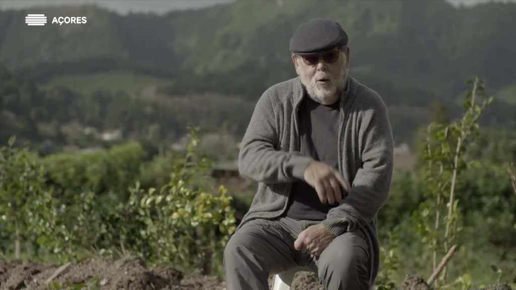 Imagem de Um Dia de Verão Quente - Memórias dos - Paulo Martinho