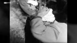 Imagem de Arg�lia: Quando a Rep�blica Abdicou