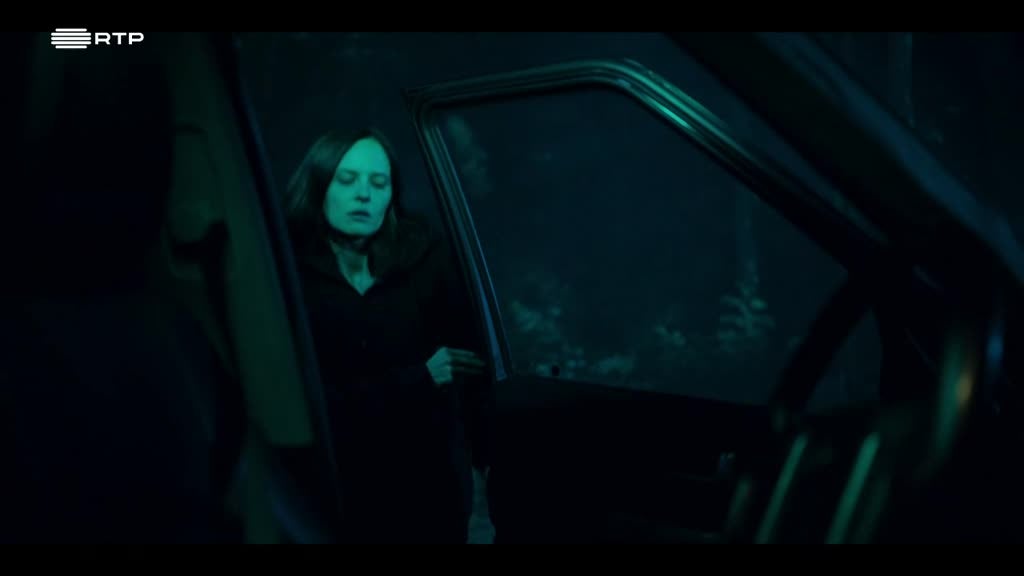 Imagem de Black Daisies