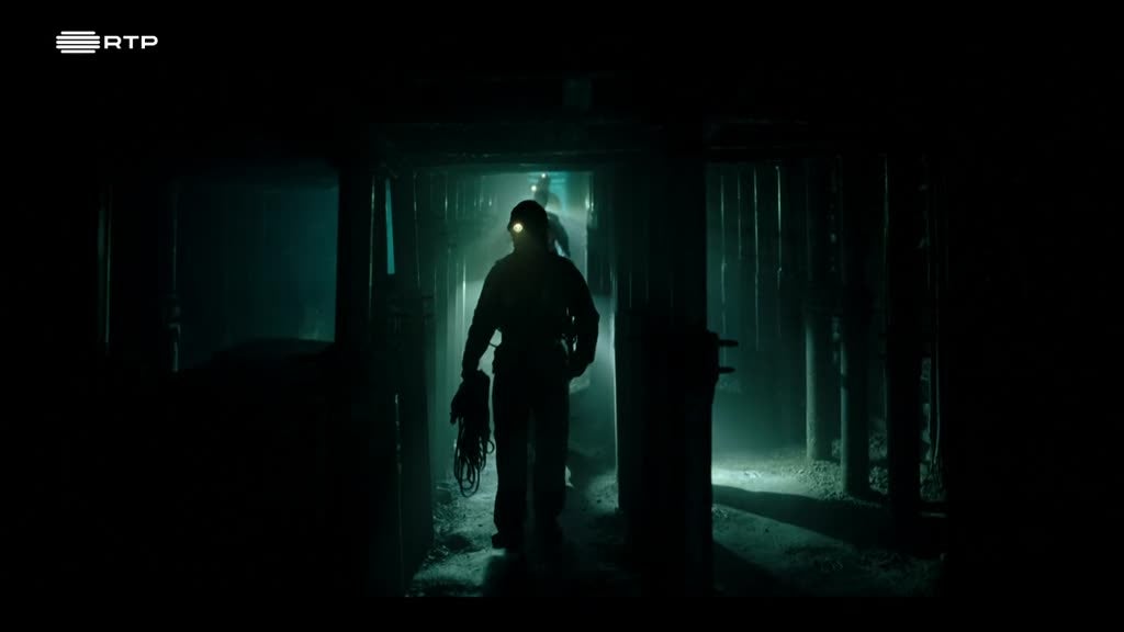 Imagem de Black Daisies