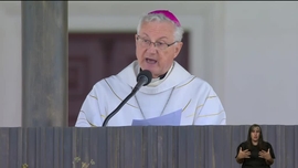 Imagem de Peregrinao Internacional do Migrante