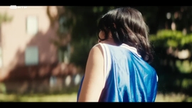 Imagem de Artigo 66-5