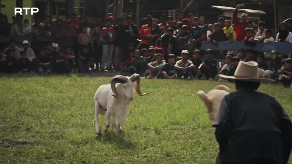 Imagem de Inesquecíveis Viagens de Comboio - Indonésia