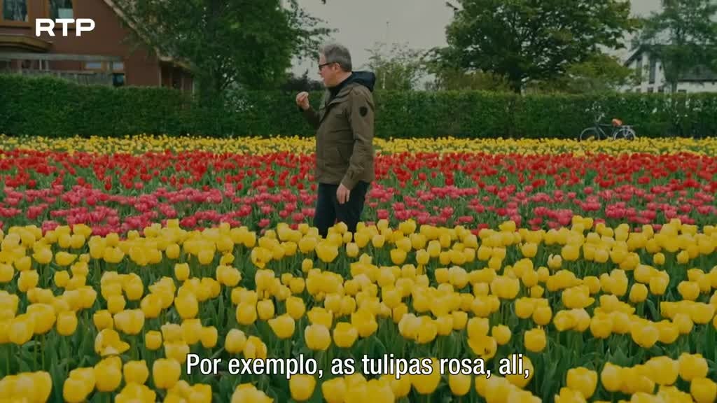 Imagem de Inesquecíveis Viagens de Comboio - Países Baixos