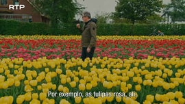 Imagem de Pa�ses Baixos
