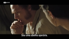 Imagem de Cria��o