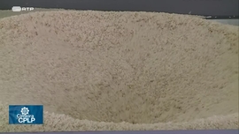 Imagem de Especial CPLP - Agricultura