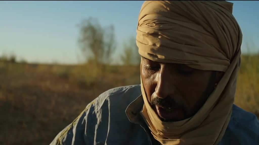 Imagem de Reinos do Sol: Subtrópicos