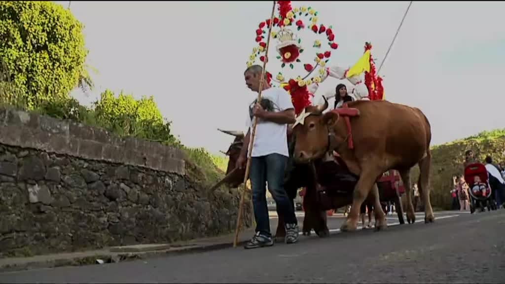 Imagem de Partilha - O Império de João Bom