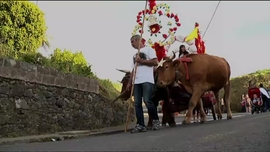 Imagem de Partilha - O Imp�rio de Jo�o Bom