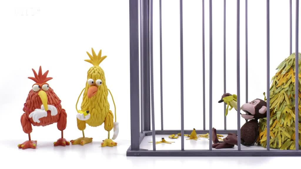 Imagem de Kiwi
