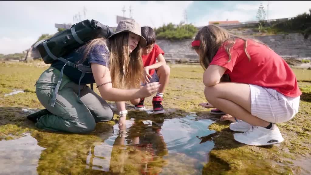 Imagem de Descomplica - Segredos dos Oceanos