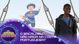 Imagem de A S�rio? O Bacalhau n�o Nada na Costa Portuguesa?