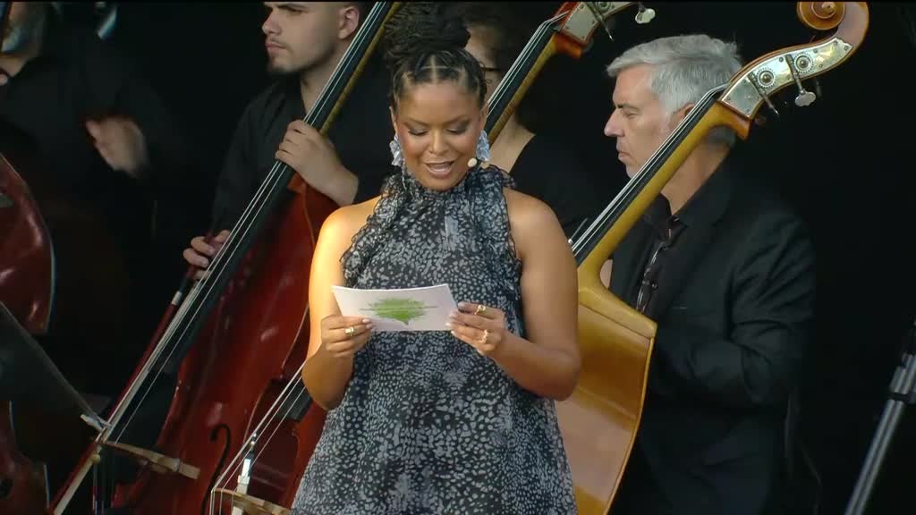 Imagem de Grandes Momentos Musicais no Cinema - Va