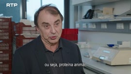Imagem de A Soja: Armadilha Hormonal? Luzes e Sombras do R�pido Desenvolvimento Vegan