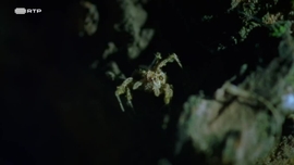 Imagem de Contagem Decrescente para Caar