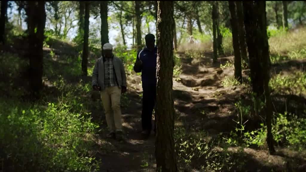 Imagem de Biotur - Biodiversidade e Turismo de Cab - Parque Natural da Serra Malagueta