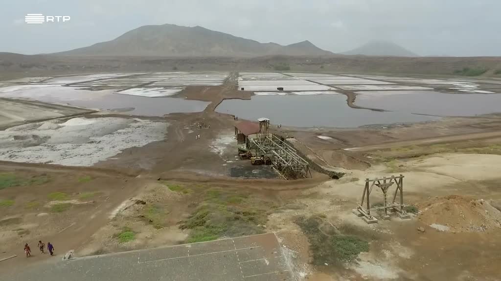 Imagem de Biotur - Biodiversidade e Turismo de Cab - Ilha do Sal