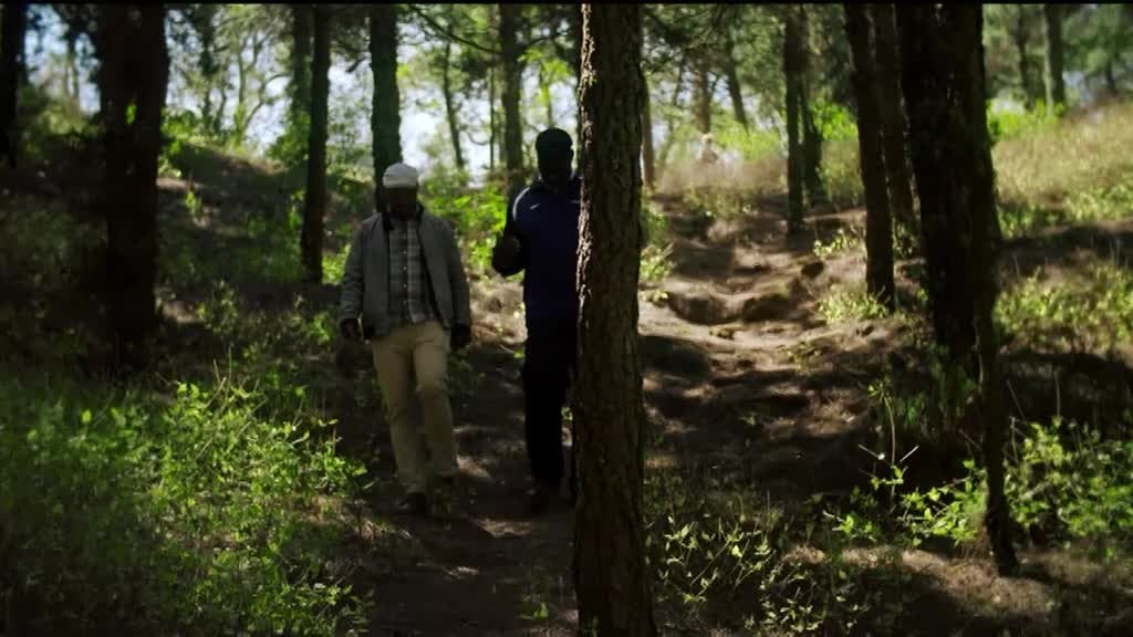 Imagem de Biotur - Biodiversidade e Turismo de Cab - Parque Natural da Serra Malagueta