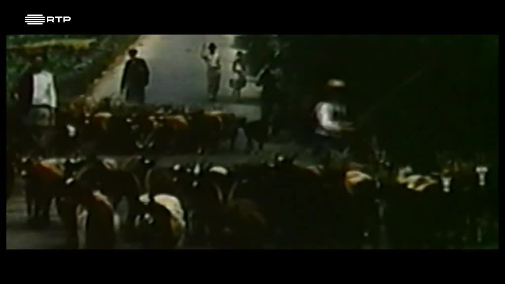 Imagem de Portugueses na Nova Inglaterra - Vinda Para a América