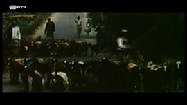 Imagem de Vinda Para a Amrica