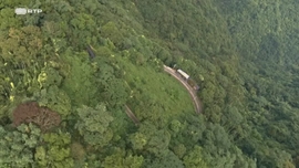 Imagem de Alishan, O Comboio da Floresta