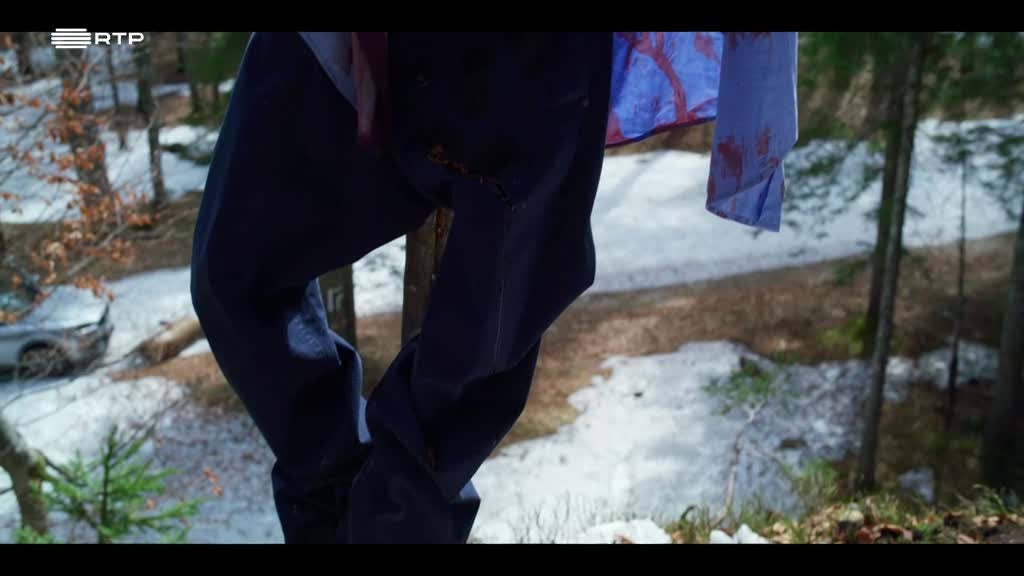 Imagem de Flores sobre o Inferno - Os Casos de Ter