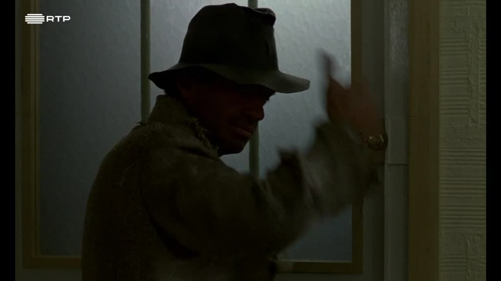 Imagem de O Profissional