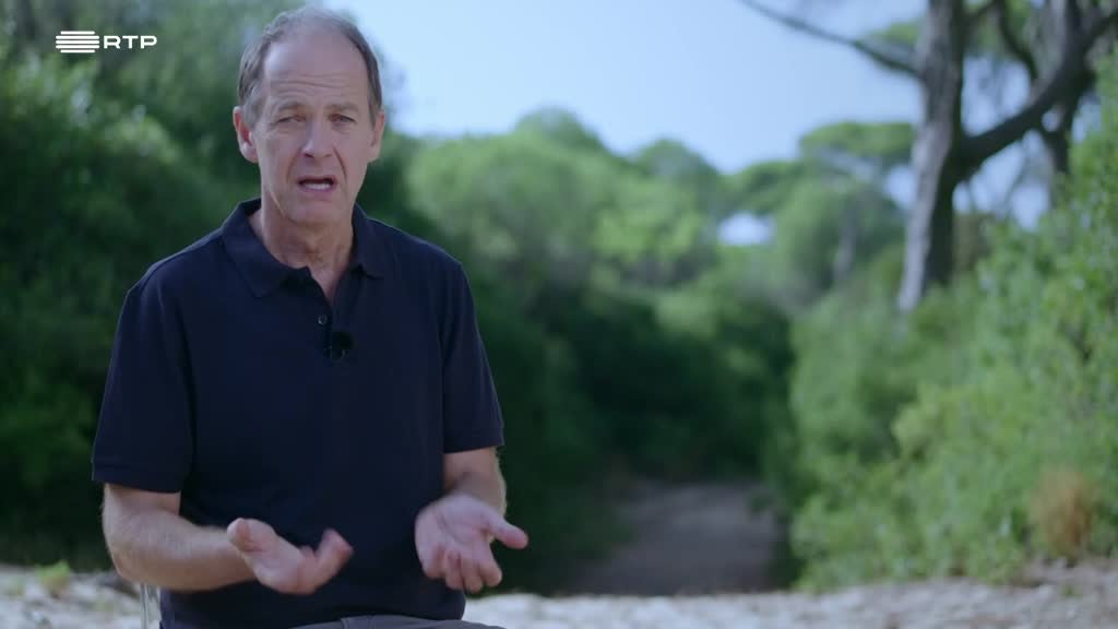 Imagem de Para Onde Vai a Reciclagem?