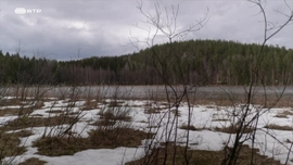 Imagem de Finl�ndia - O Saimaa