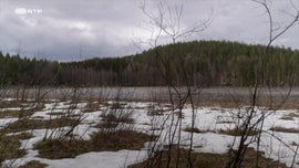 Imagem de Finl�ndia - O Saimaa