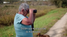 Imagem de Hungria - O Balaton