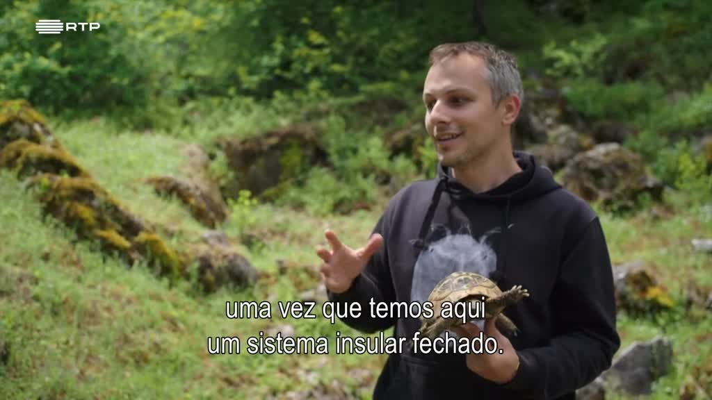 Imagem de Águas Calmas - Macedónia do Norte: Ohrid e Prespa