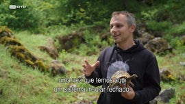 Imagem de Maced�nia do Norte: Ohrid e Prespa