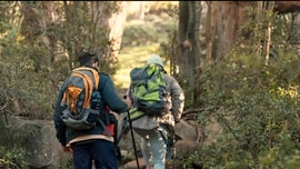 Imagem de Sa�de Digital: a Sword Health