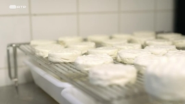 Imagem de No Sul da Bretanha