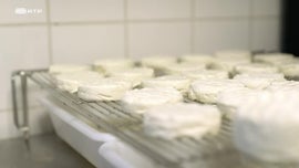 Imagem de No Sul da Bretanha