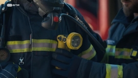 Imagem de Bombeiro & Veterinrio de Animais de Grande Porte