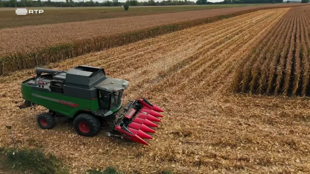 Imagem de Alguém Tem de o Fazer - Agricultor Digital & Arqueólogo