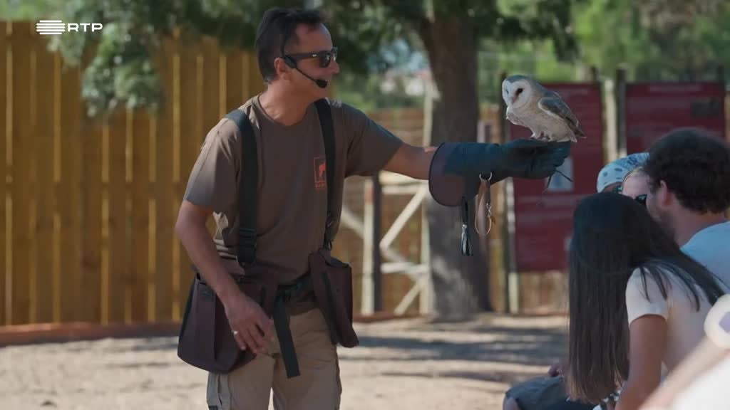 Imagem de Alguém Tem de o Fazer - Tratador de Animais & Stylist