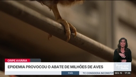 Imagem de Portugal em Rede