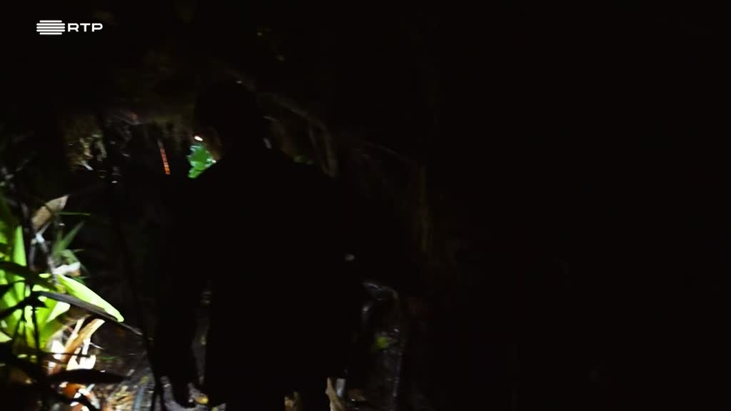 Imagem de No Topo da Amazónia, Em Busca de Novas